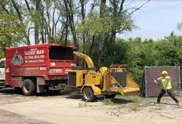 Worker feeding wood into a yellow chipper beside a red truck in a wooded area