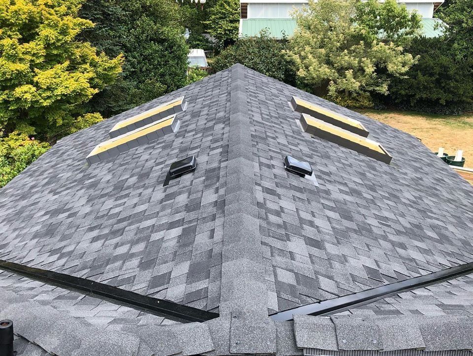 Gray asphalt shingle roof with skylights and vents, surrounded by trees and a house.
