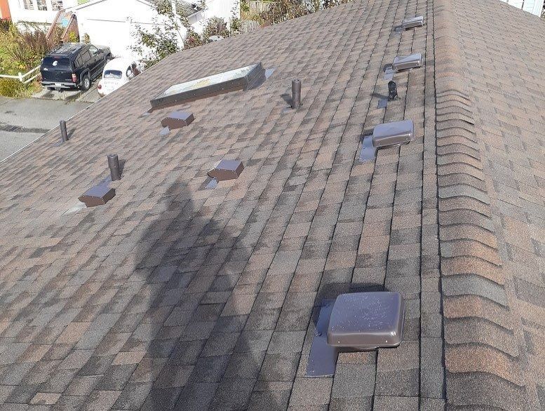 A brown shingled roof with various vents and a skylight. A car is visible in the background.