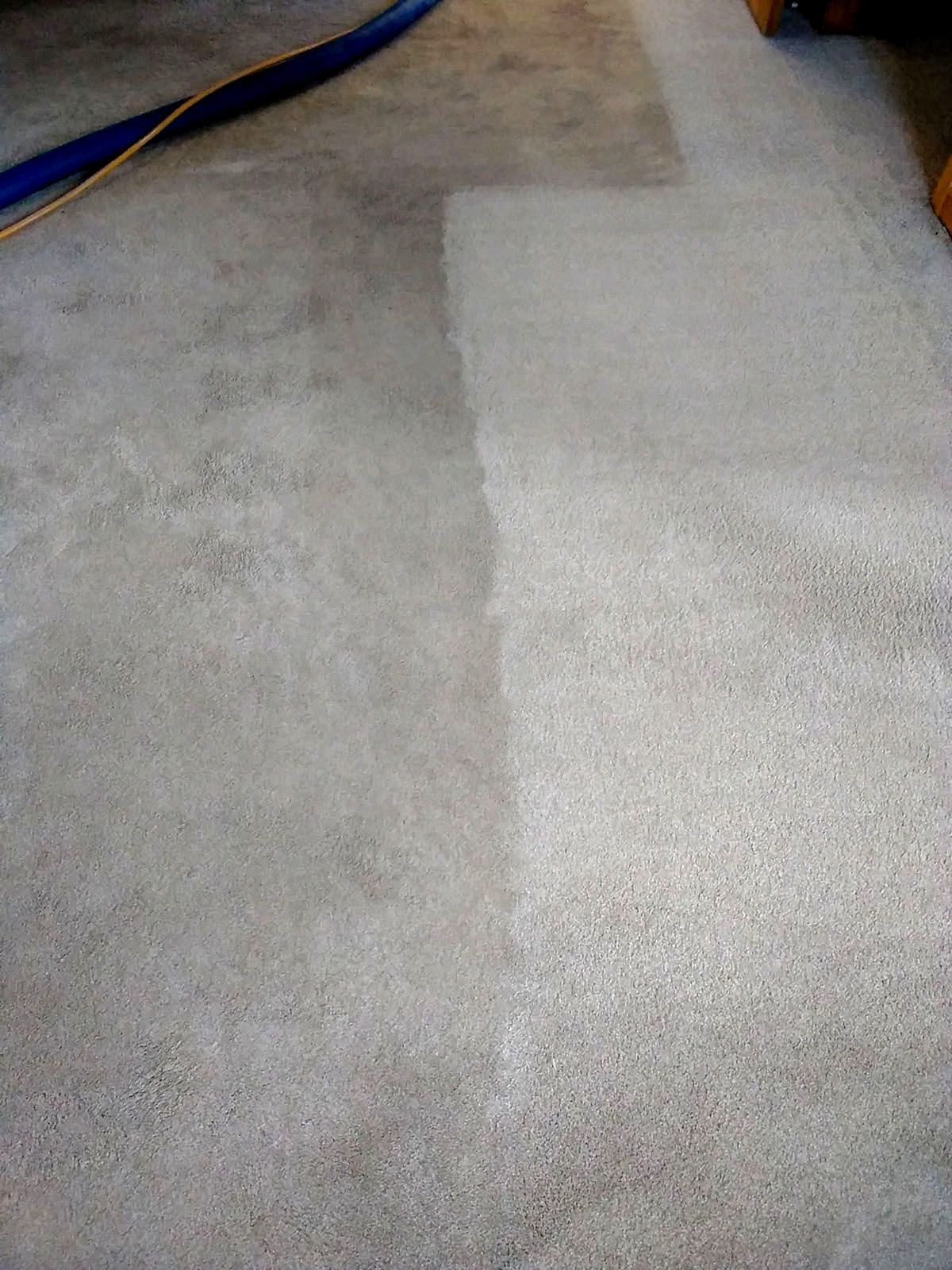 A closeup of a carpet being cleaned with a vacuum cleaner