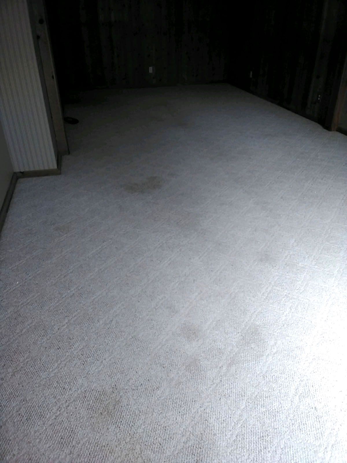 A soiled carpet before cleaning