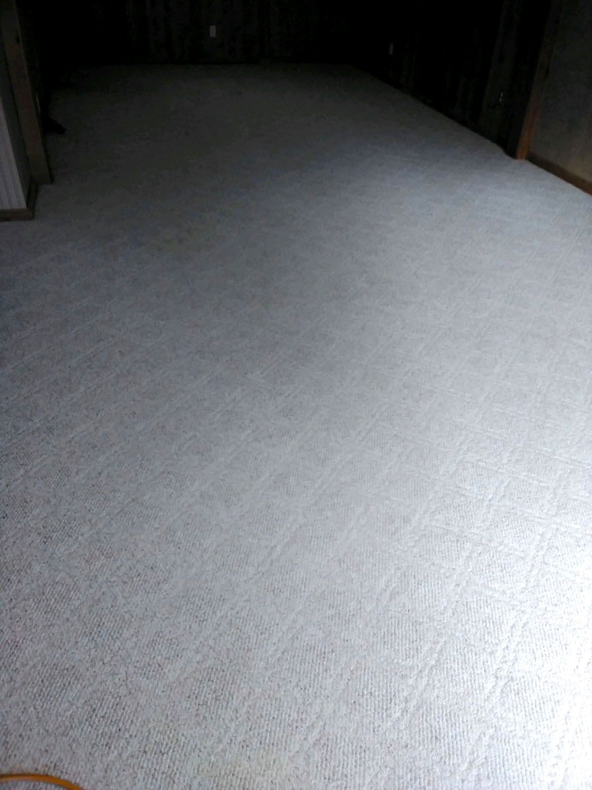 A white carpet after cleaning