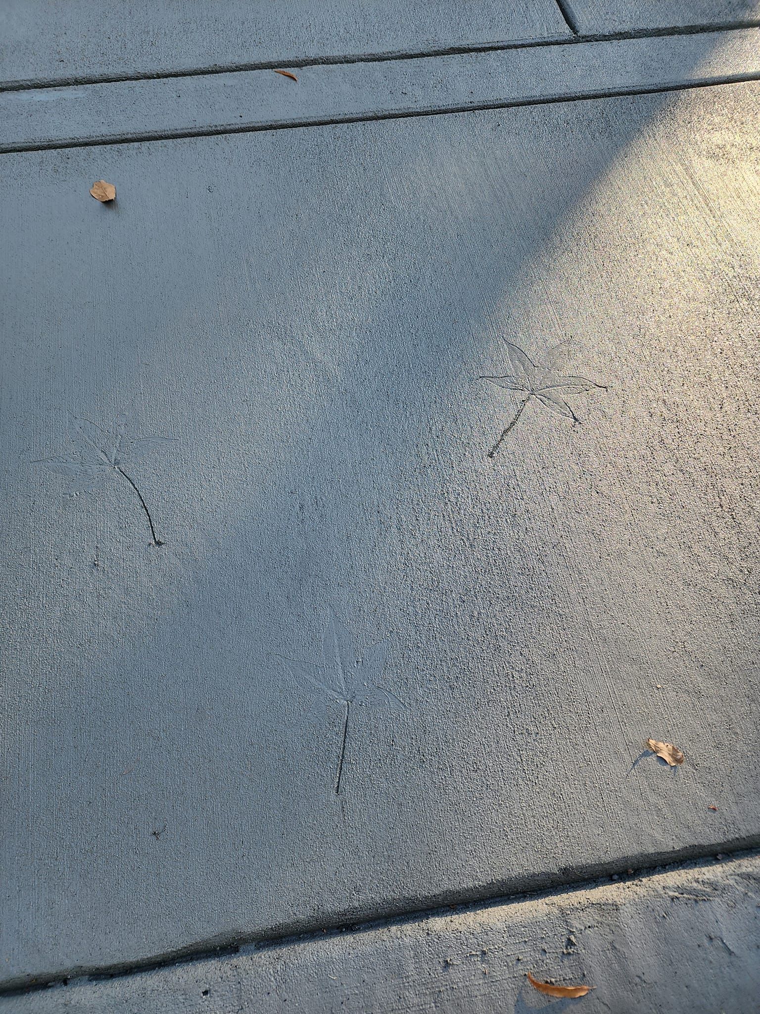 A close up of a concrete sidewalk with a leaf on it.
