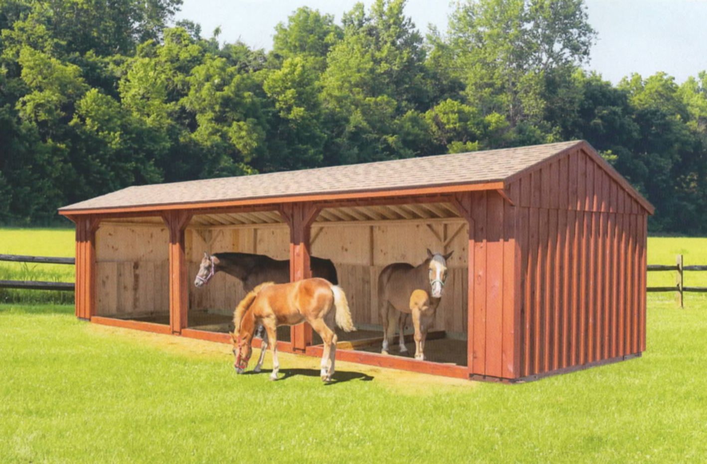 Horses standing in a red wooden barn on a sunny green field