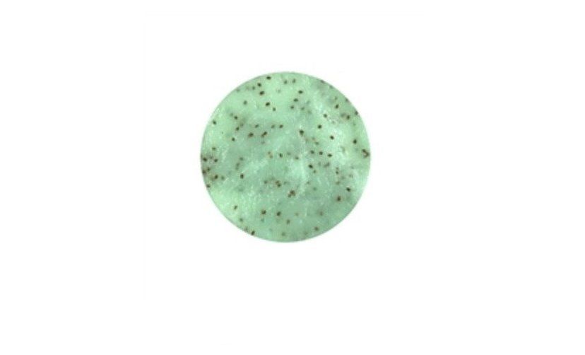 A green circle with black dots on it on a white background.