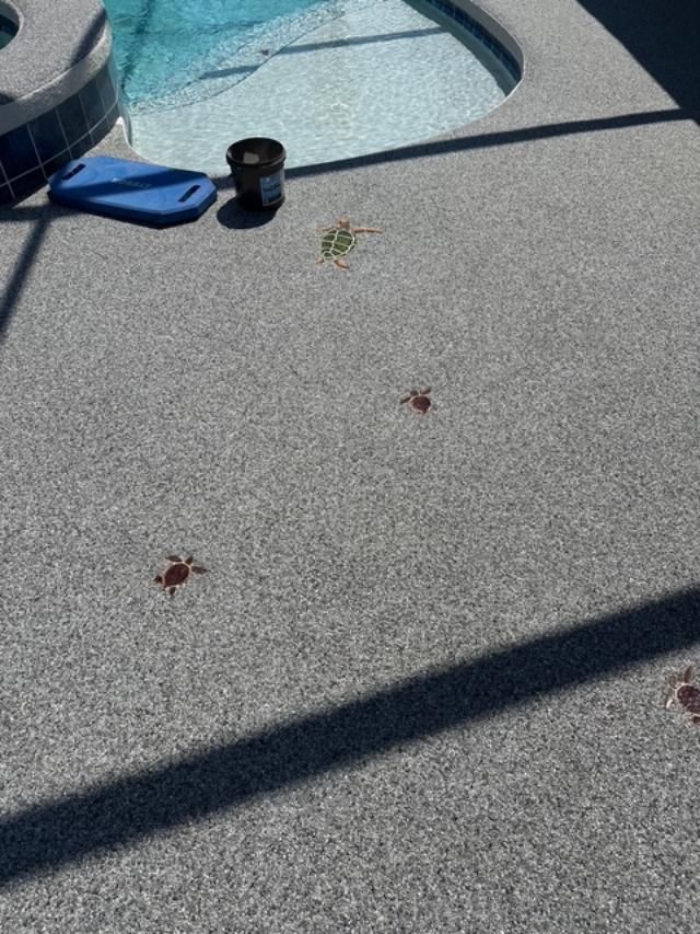 Poolside deck with a blue hose, black cup, and a few leaves in sunlight.
