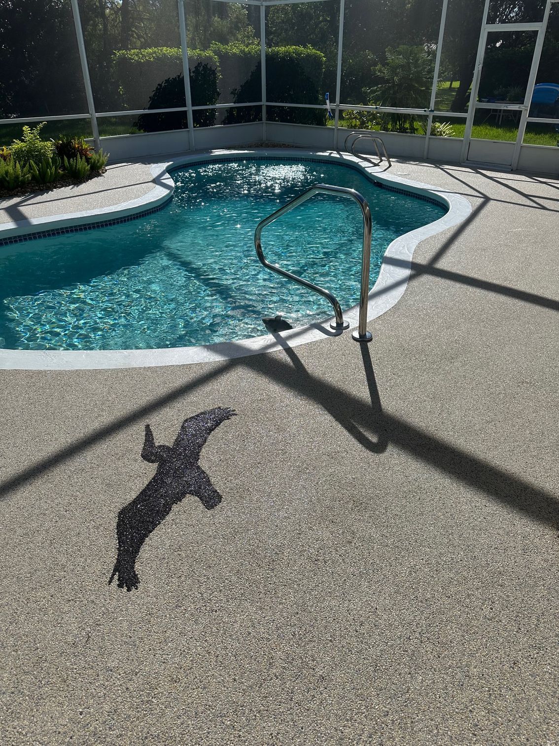 Backyard swimming pool with curved steps, metal handrail, and strong shadows on the deck.