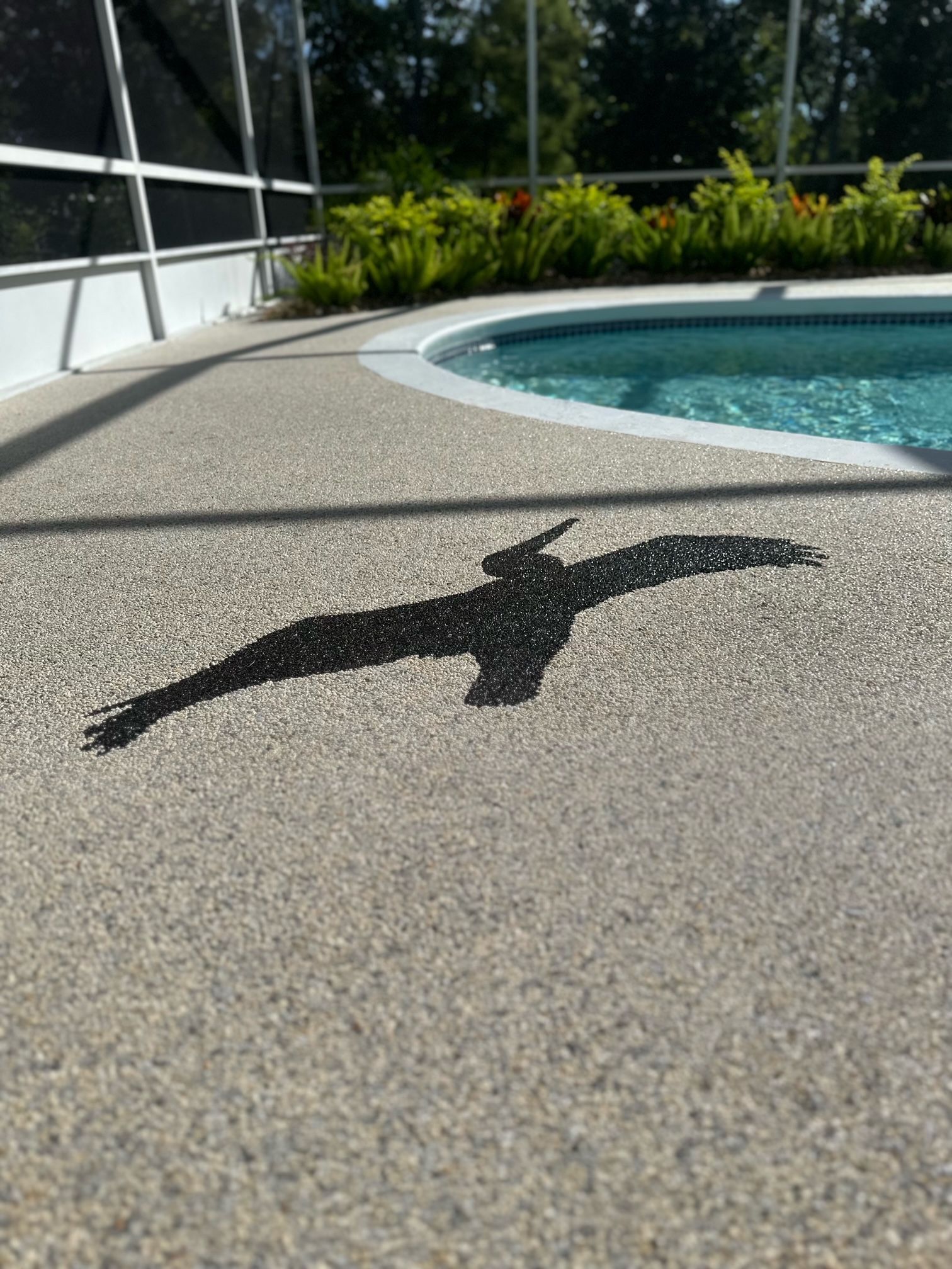 Bird-shaped shadow on a pool deck beside a blue swimming pool and greenery.