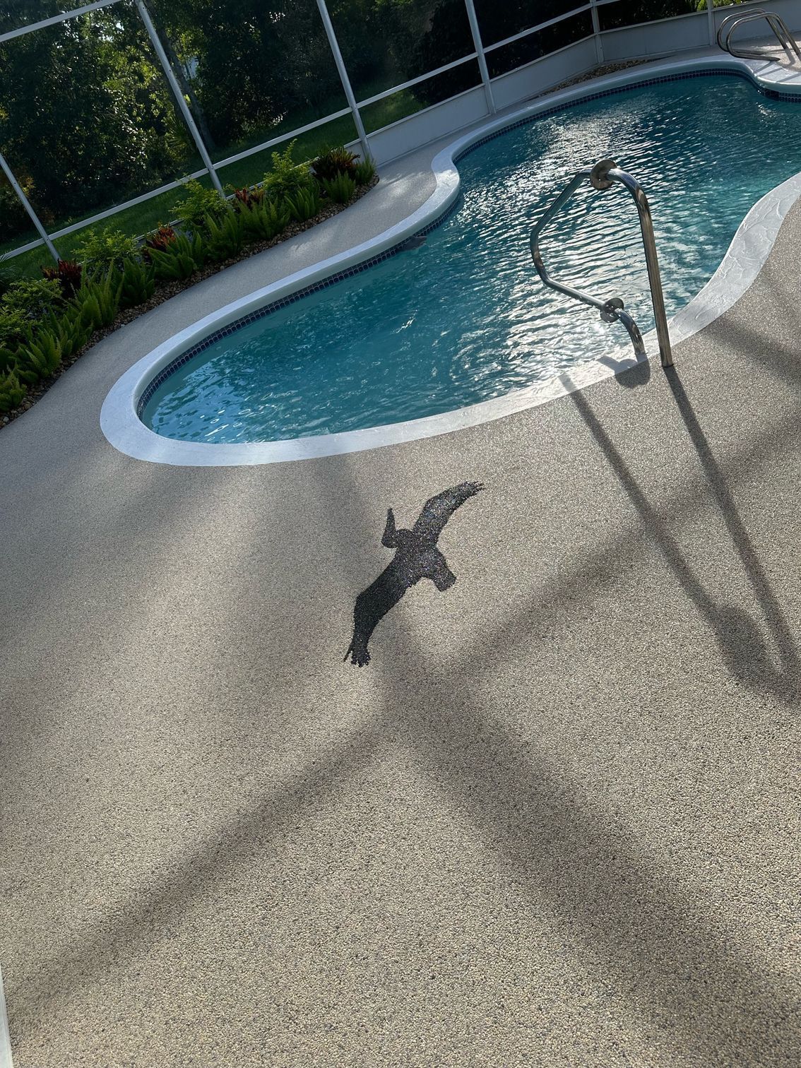 Curved backyard swimming pool with blue water beside a textured patio and chain-link fence shadows