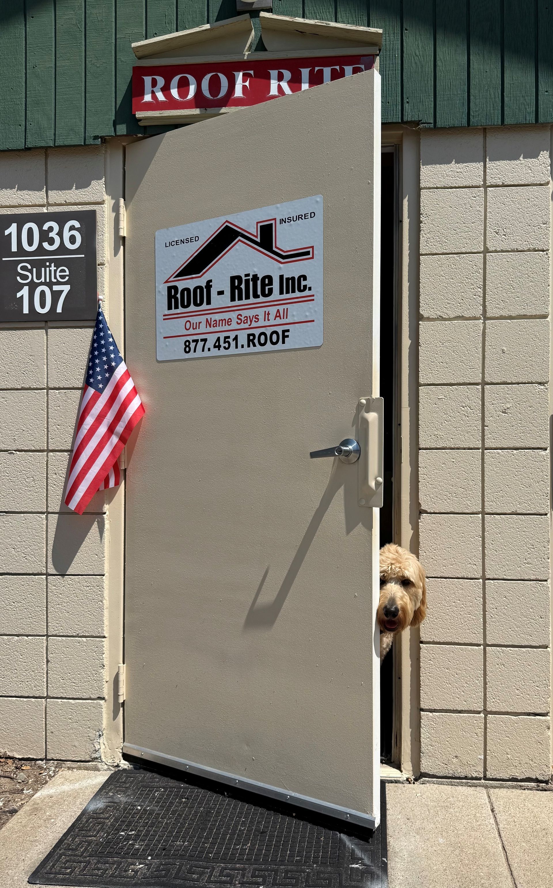 Photo of {{Team Member Name}}