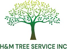 H&M Tree Service Inc Logo