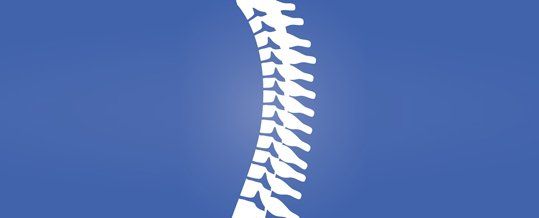 Spinal curve