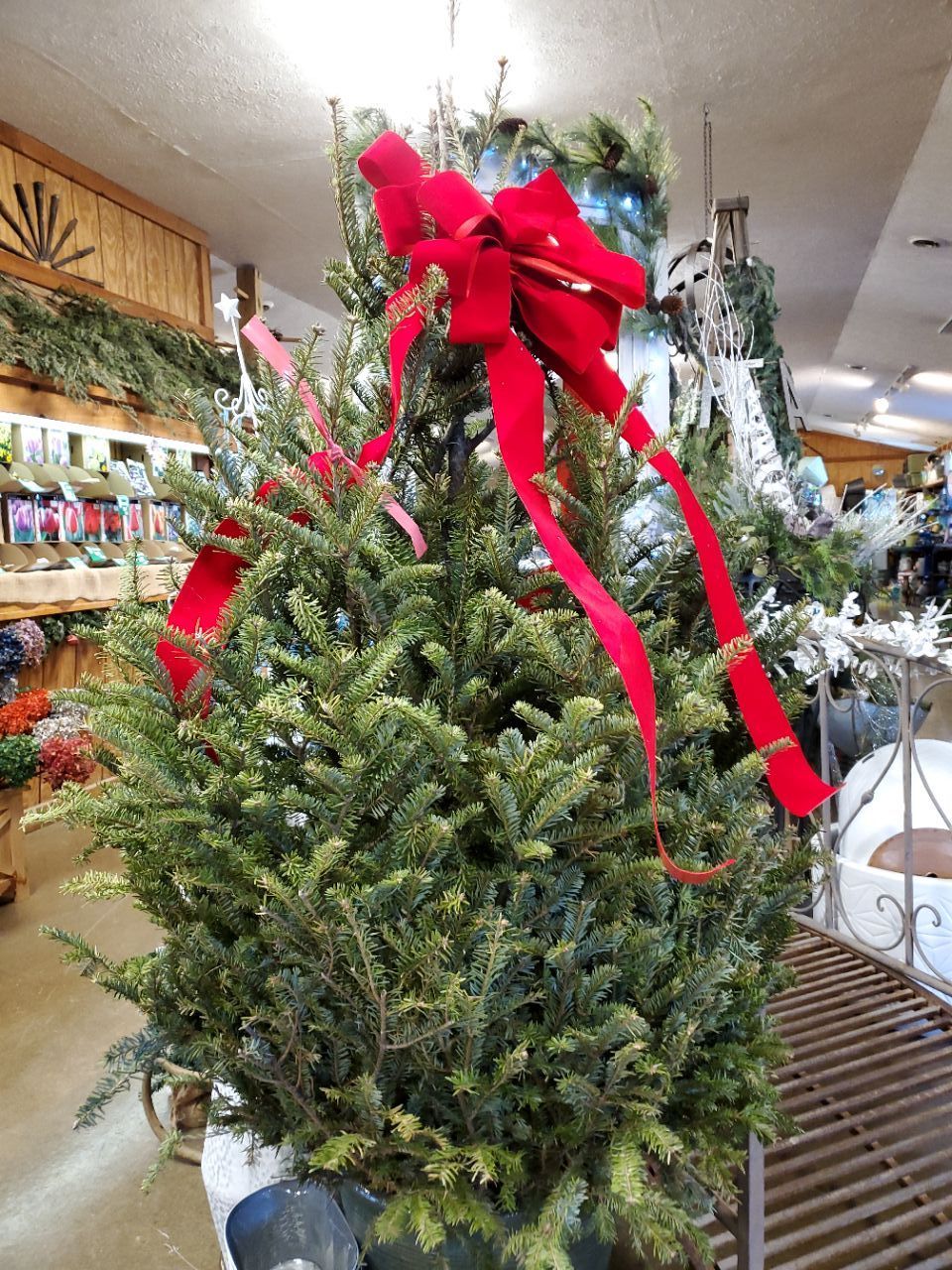 A christmas tree with a red bow on it