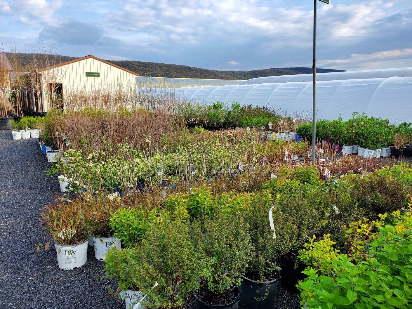 A lot of potted plants are sitting in front of a greenhouse.