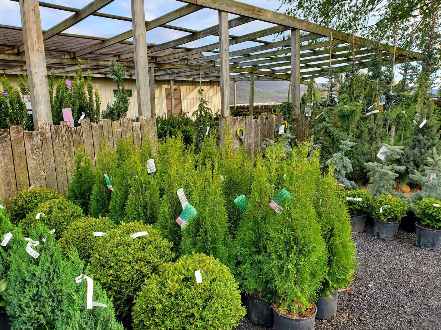 A bunch of potted plants are sitting under a canopy in a garden.