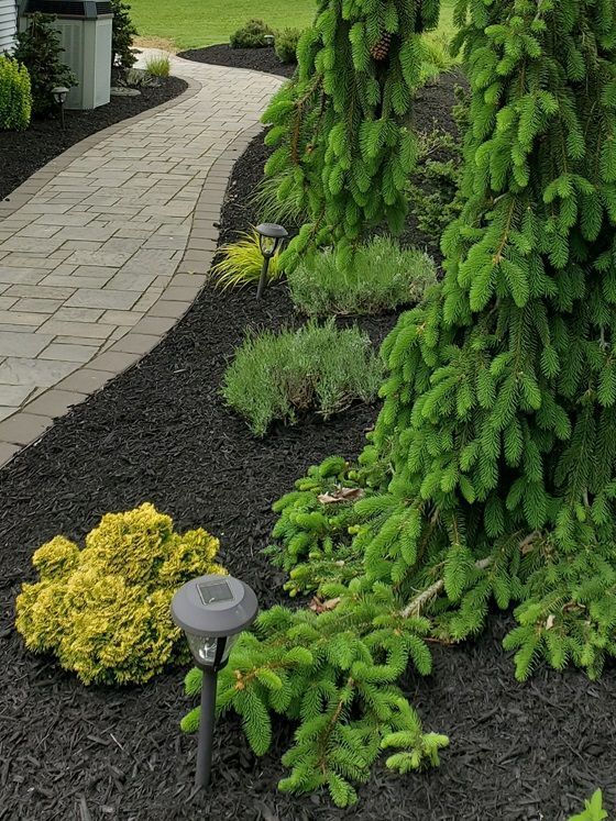 A brick walkway surrounded by trees and bushes leading to a house