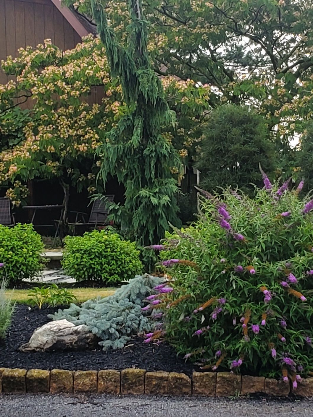 A lush green garden with purple flowers in front of a house