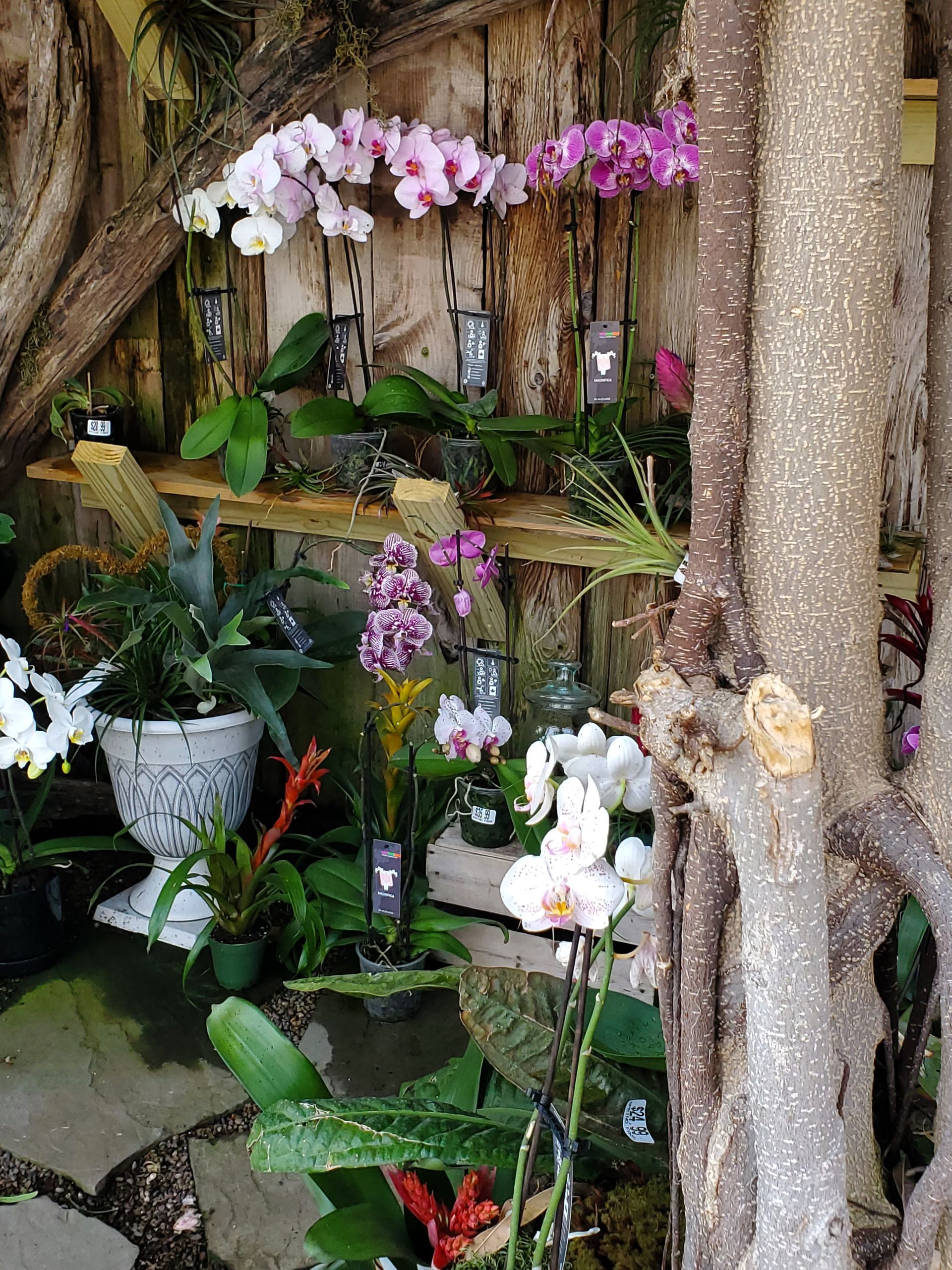 A bunch of flowers are sitting on a shelf in a garden.