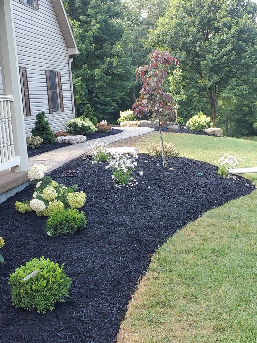 A house with a walkway leading to it and a garden in front of it.