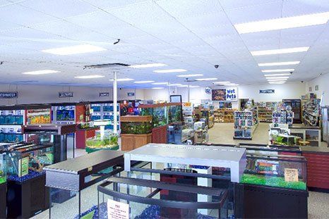 Wet Pets by Steve  interior