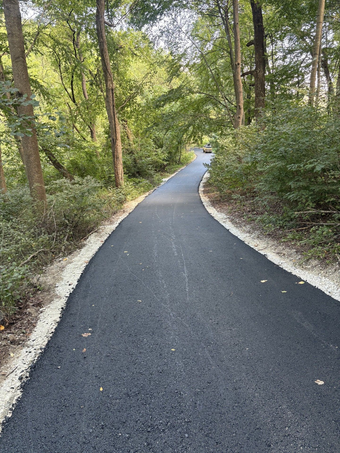 Paved path curves through a forest, bordered by trees and bushes; light gravel edges the path.