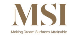 MSI - Logo