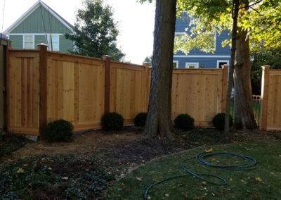 Wooden privacy fence with trees and shrubs in a backyard.