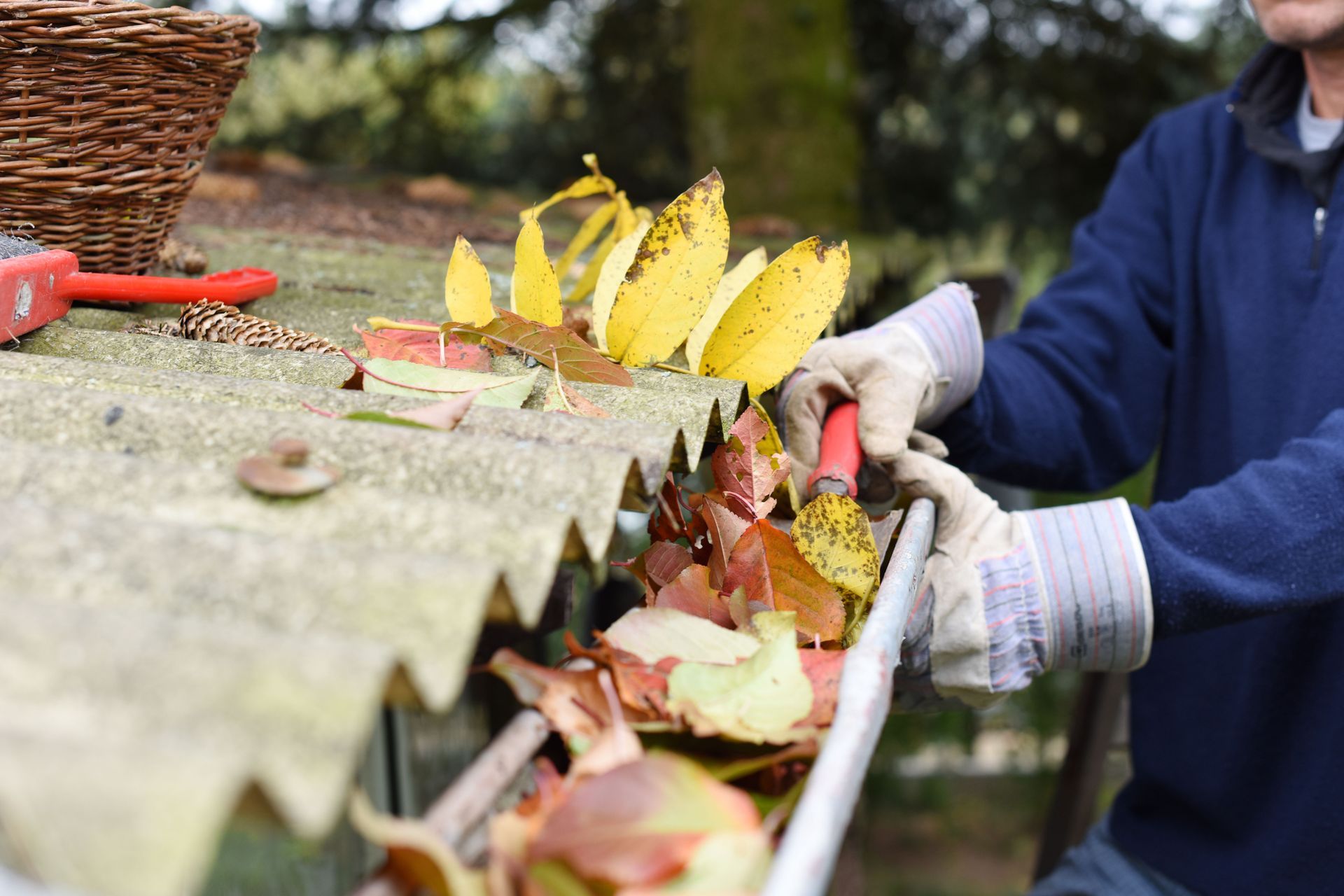 Gutter Cleaning
