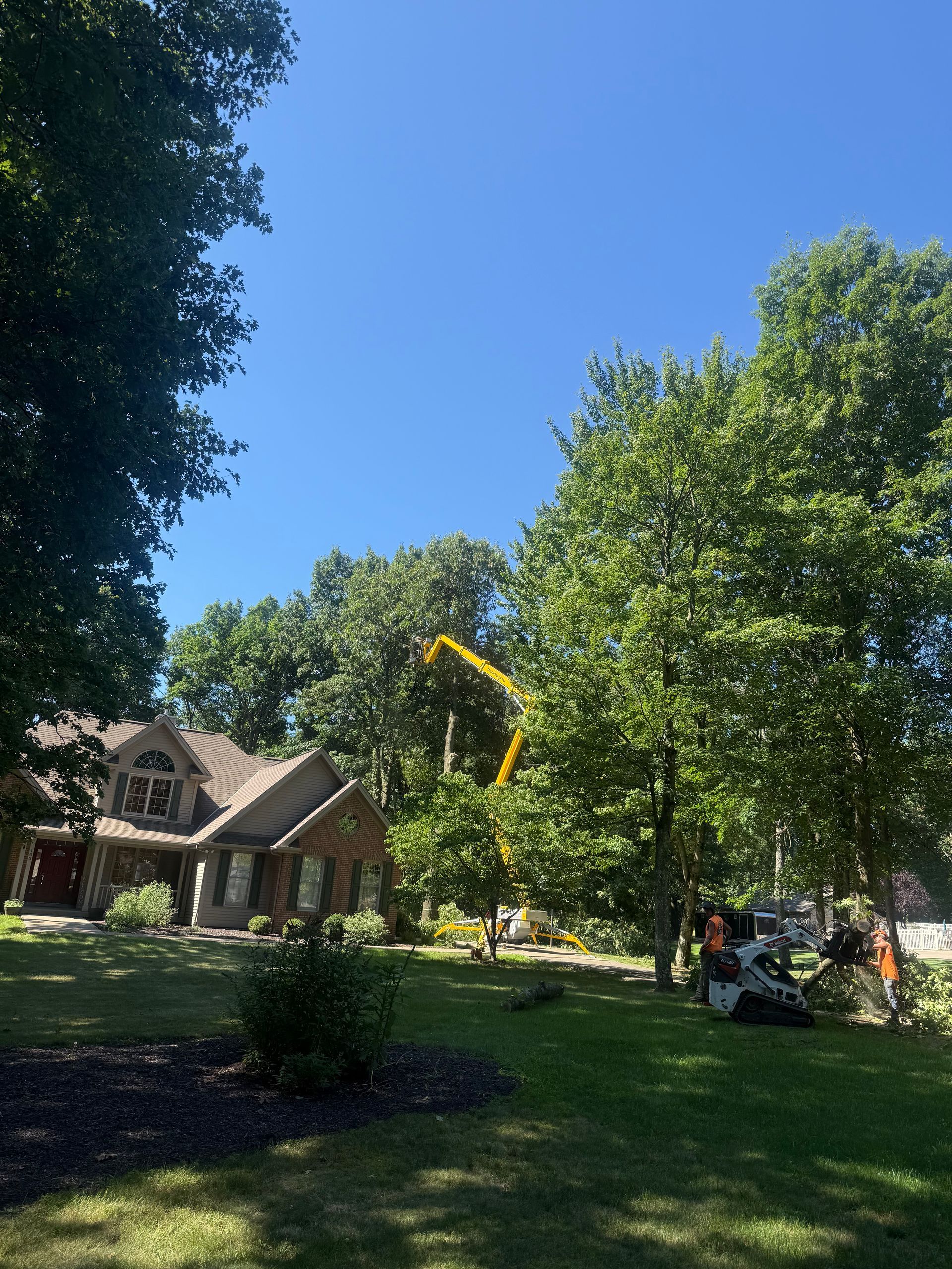 Backyard with a house, tall trees, and a yellow crane under a clear blue sky