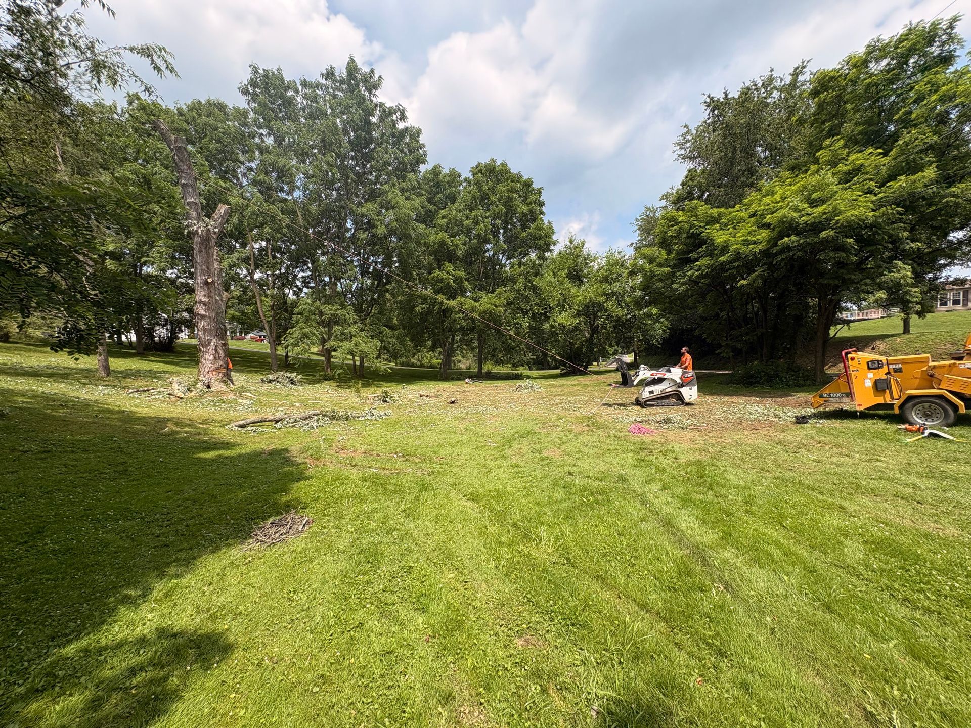 Workers trimming grass in a sunny park, with a mower and yellow utility vehicle near trees.