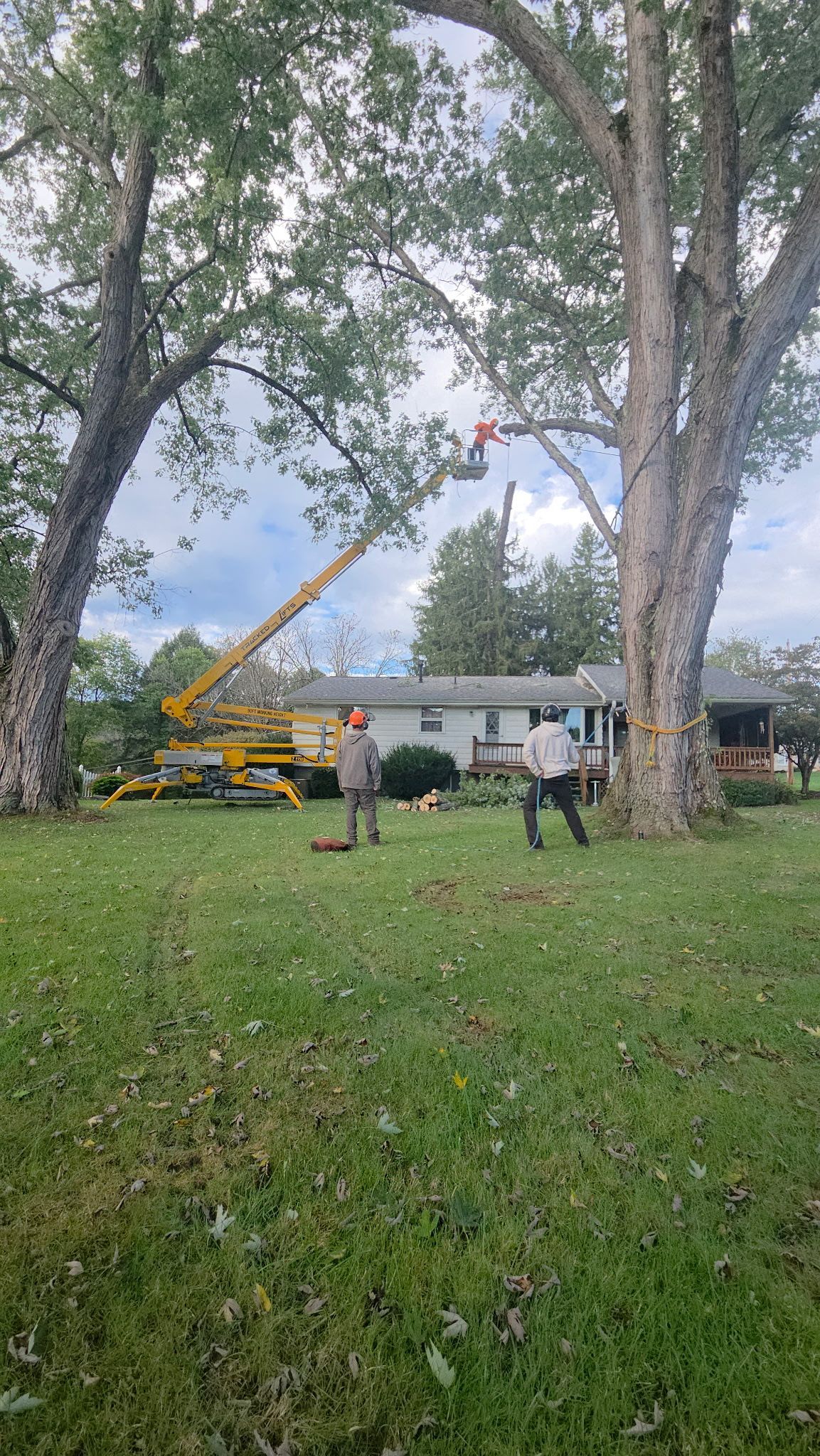 Tree crew operates a yellow boom lift in a yard beside a white house under cloudy skies