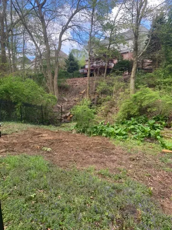 Dirt and grass yard with a treeline in the background. A fence and house are visible.