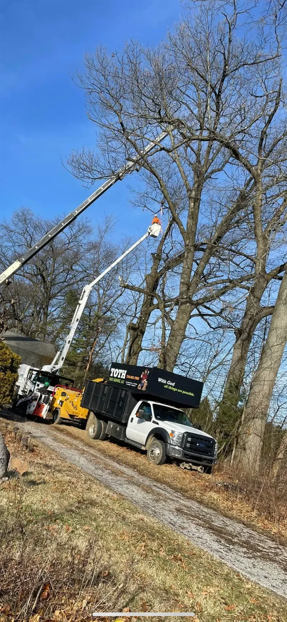 Tree trimming in progress; a white truck with a black bed on a dirt road; two boom lifts in the air.