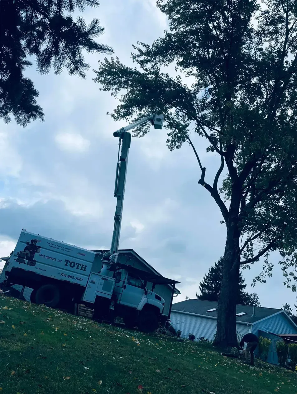 Tree trimming truck with extended boom on a grassy hill, reaching a tree, cloudy sky.