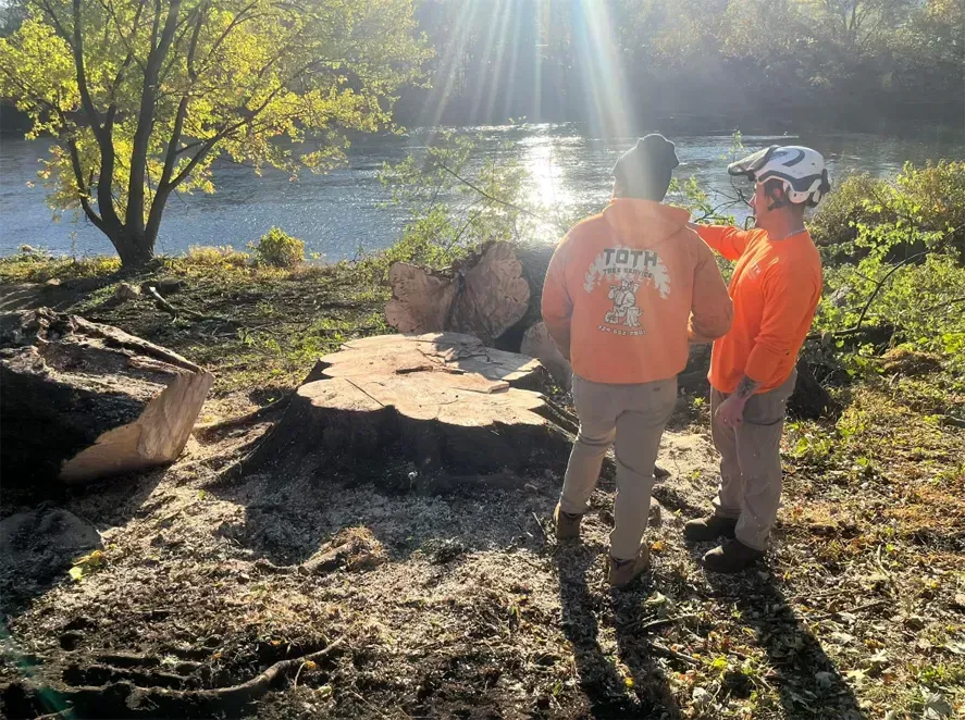 Two people in orange, near a tree stump, by a river on a sunny day.
