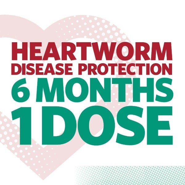 6 month heartworm prevention