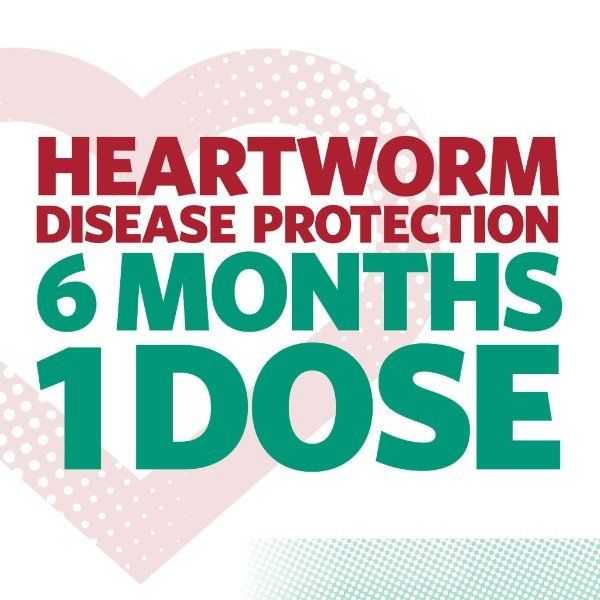 injectable heartworm preventative