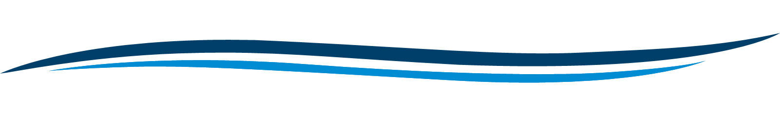 A stylized, wavy blue design, suggestive of water or a flowing movement.