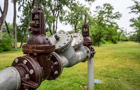 Backflow prevention services