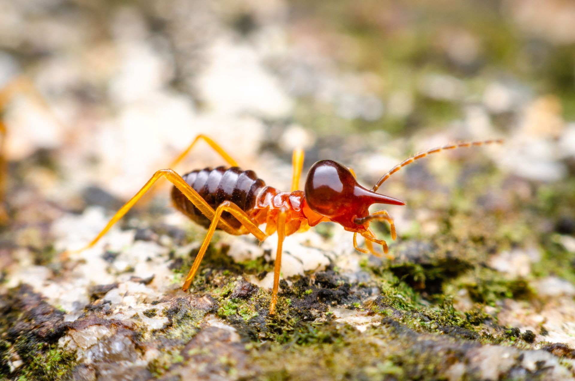 A grey square with the text 