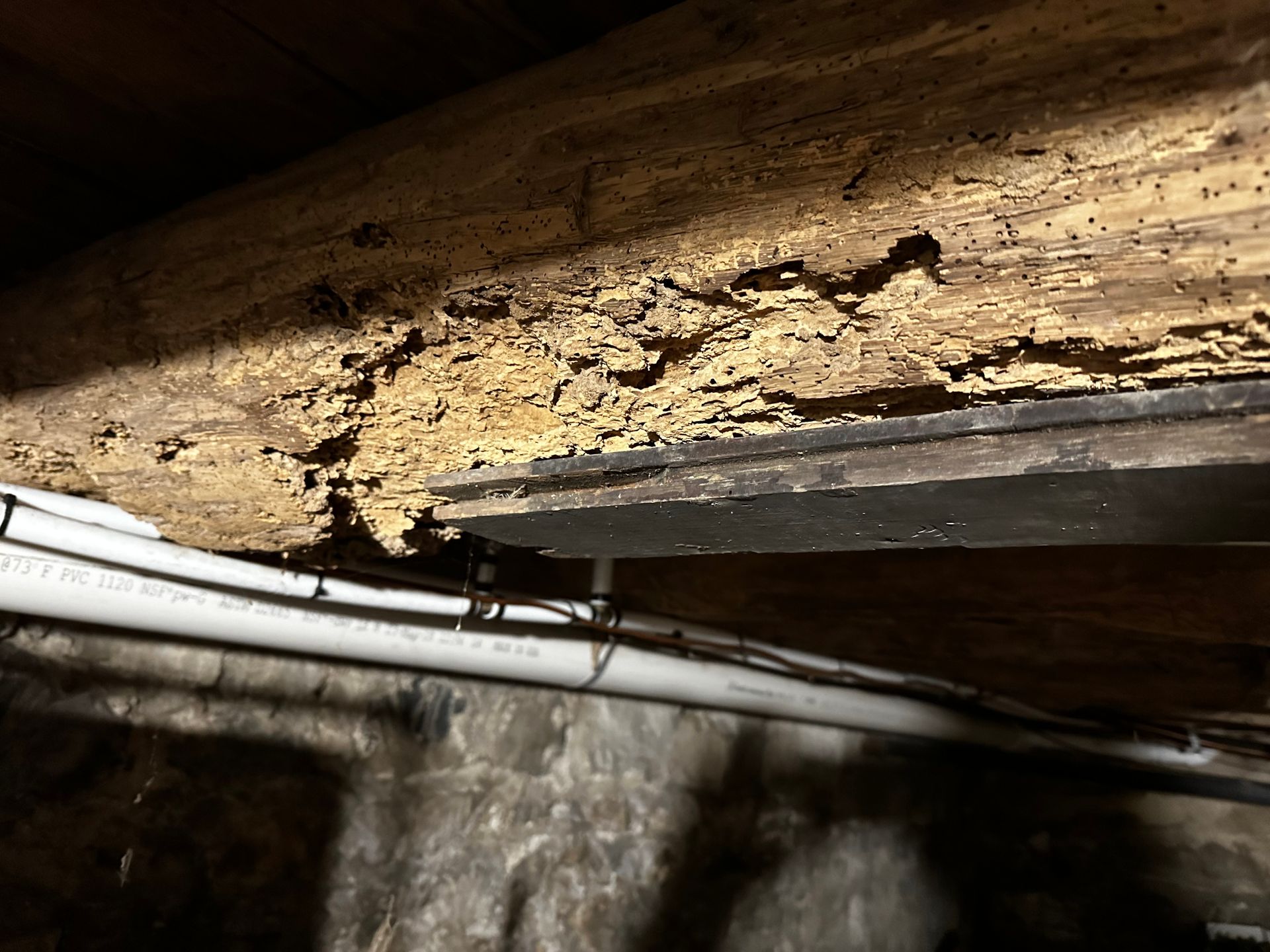 A wooden beam in a dark crawl space showing significant structural damage and tunneling from wood-boring pests.