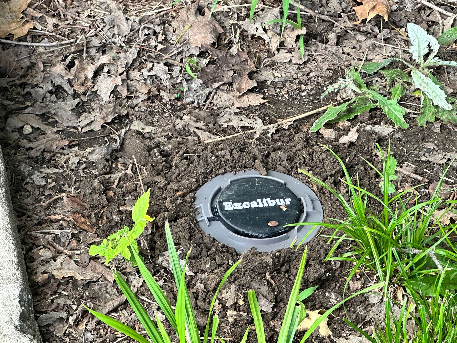 A circular, black Excalibur brand bait station embedded in dirt near grass and garden leaves.