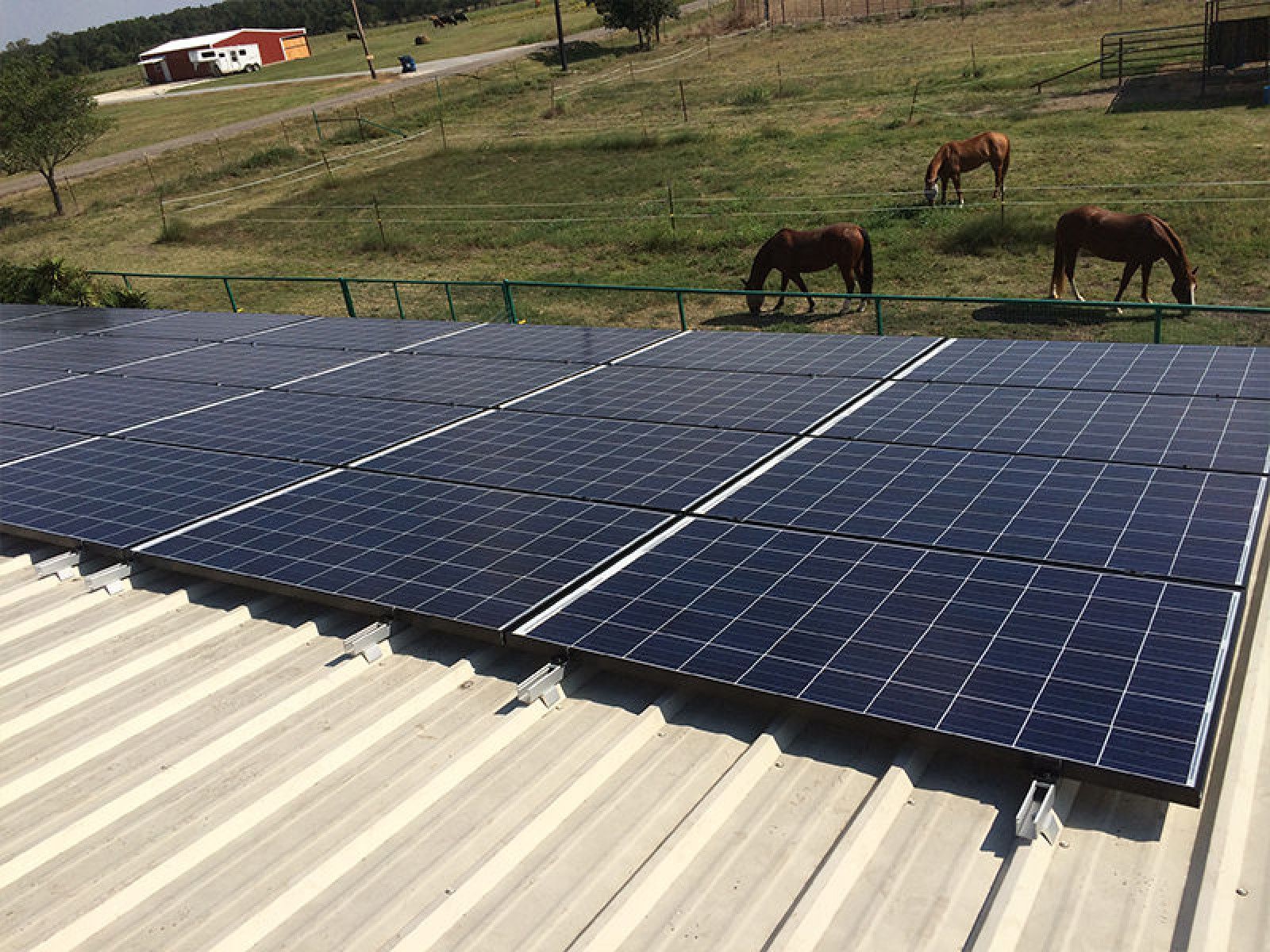 A rooftop solar panel array installed on a metal roof, overlooking a grassy field with three grazing horses.