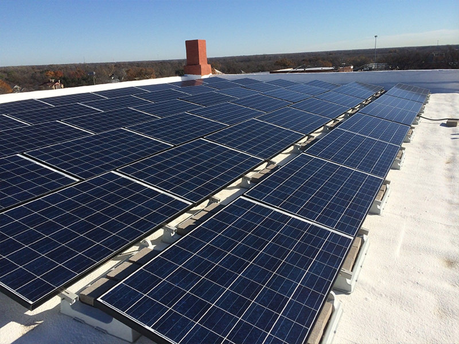 A grid of dark blue solar panels installed on a flat, light-colored roof under a clear blue sky.