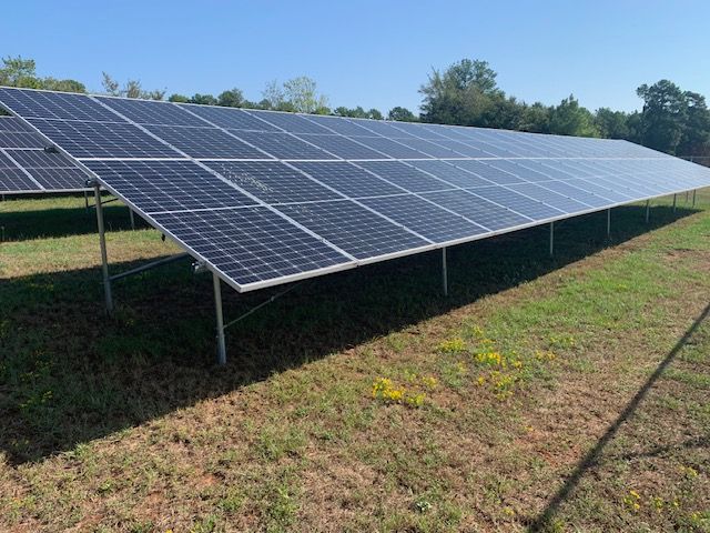 Rows of dark solar panels mounted on metal frames in a grassy field under a clear blue sky.