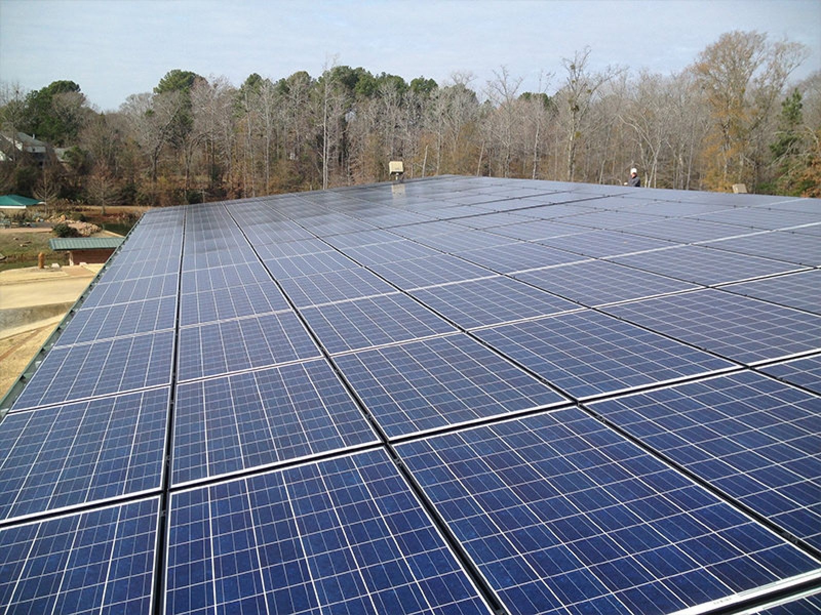 A large array of blue solar panels covering a rooftop, set against a background of bare trees and a clear sky.