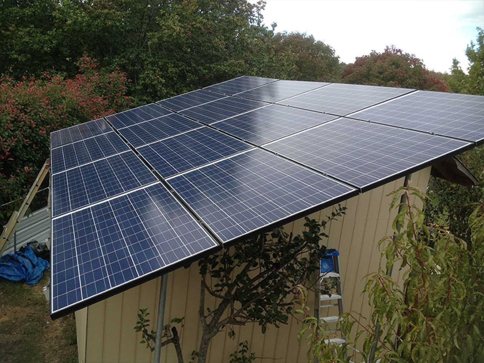A grid of solar panels installed on a shed roof, with a ladder leaning against the side.