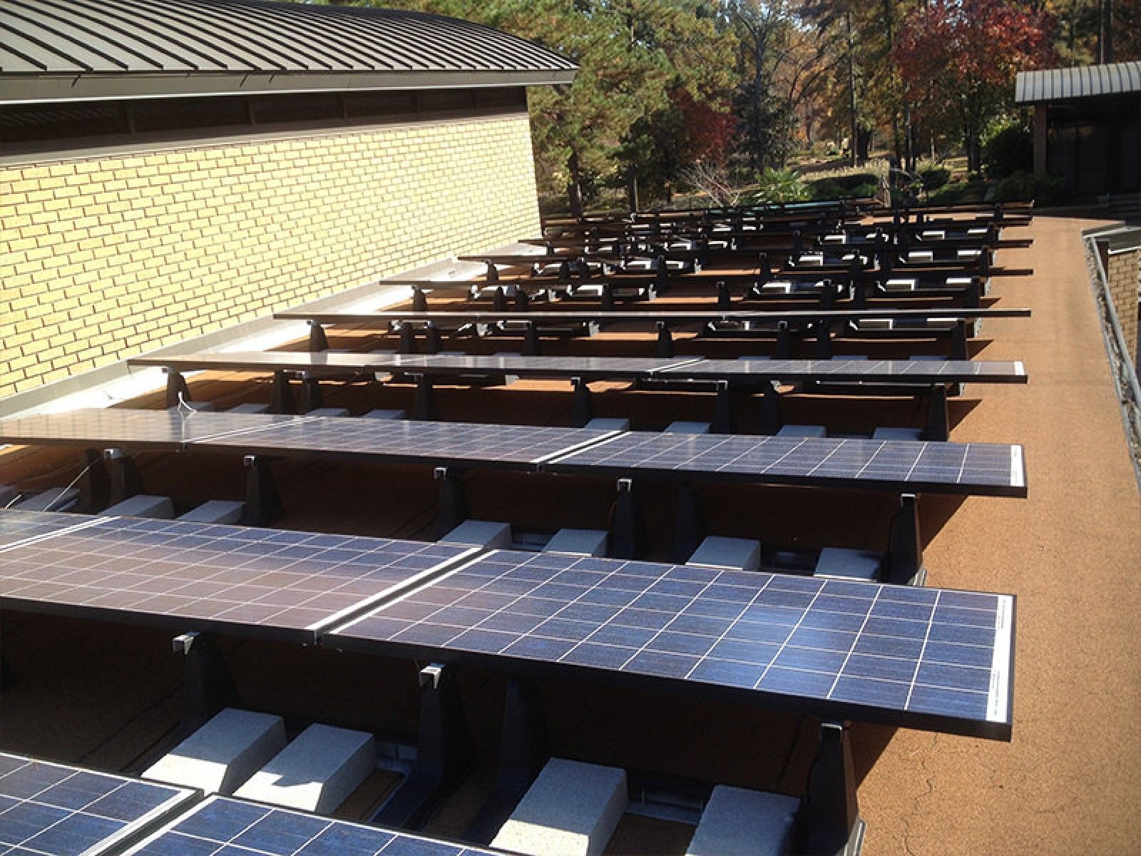 Rows of solar panels installed on a flat building rooftop with a beige brick wall in the background.