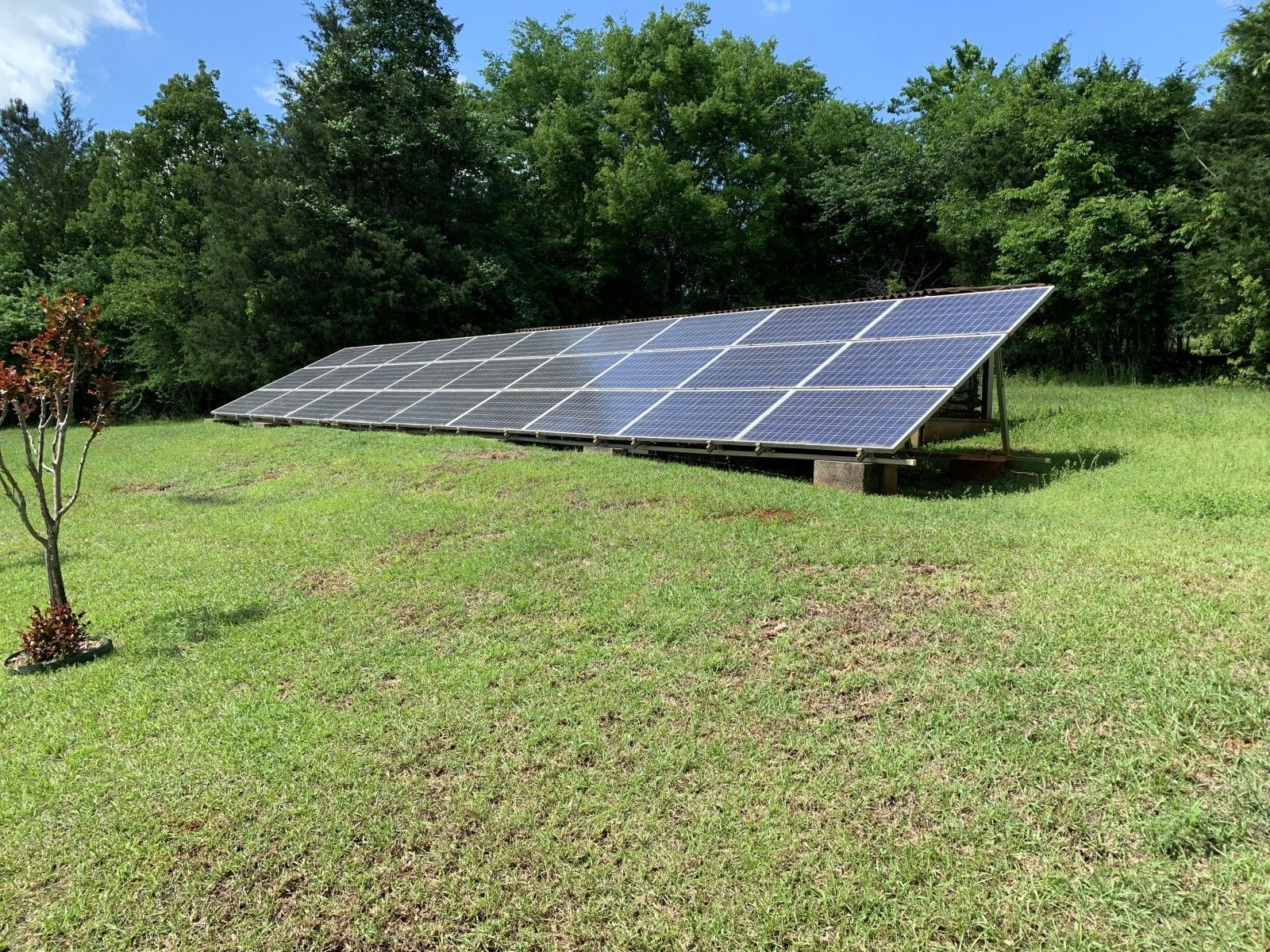 A ground-mounted solar panel array sits in a grassy field in front of a line of trees under a blue sky.