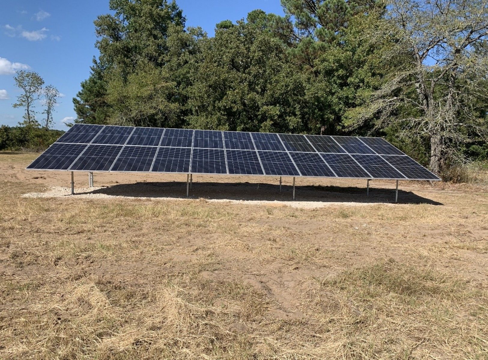 A ground-mounted solar panel array sitting in a grassy field in front of a tree line under a clear blue sky.